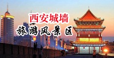 大鸡巴操女人逼淌白浆中国陕西-西安城墙旅游风景区